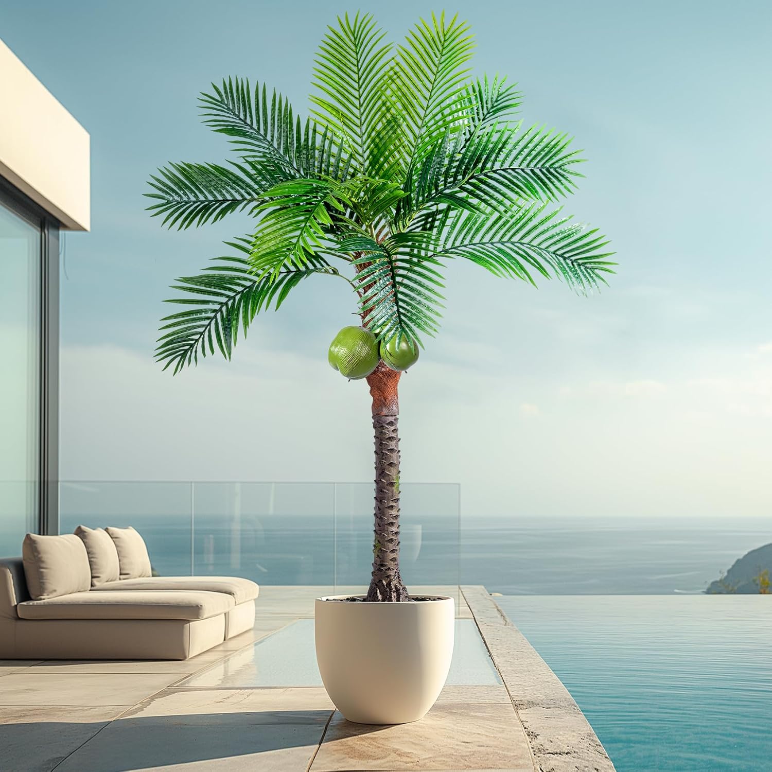 TREE COCONUT 1PK 24CT